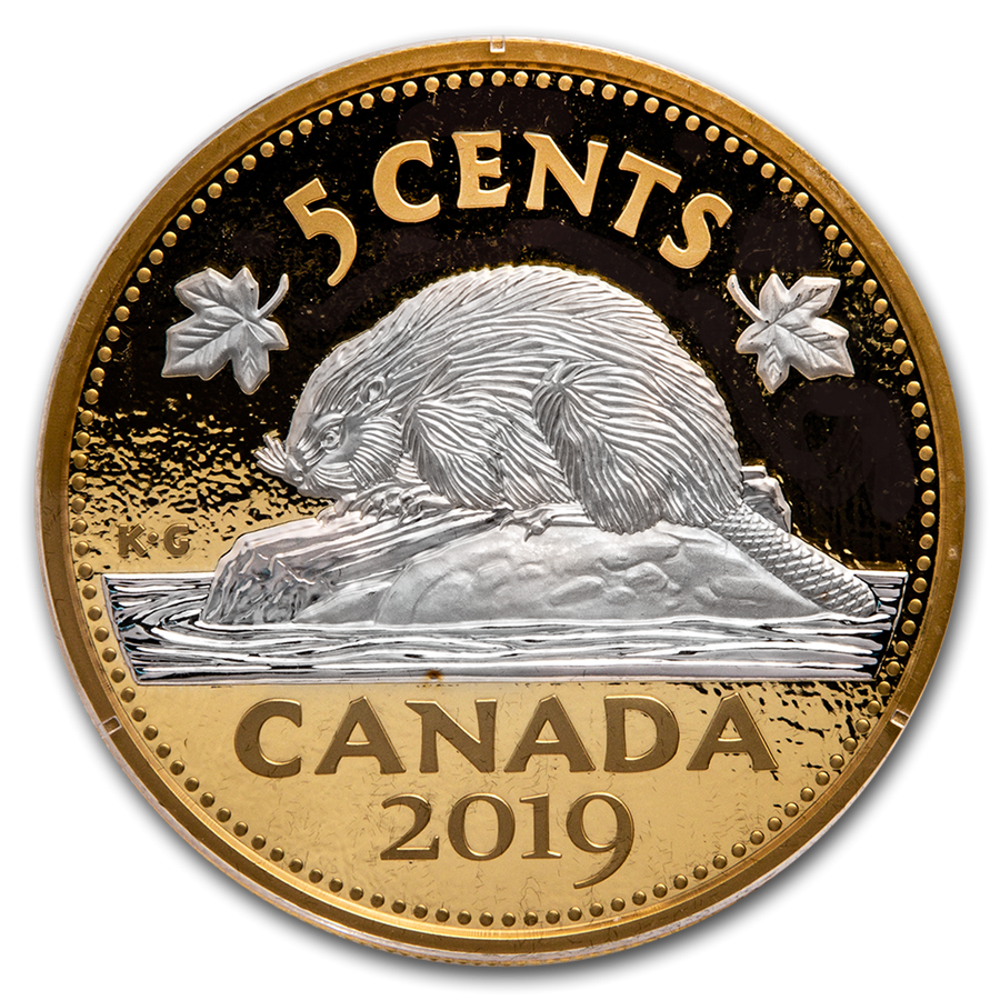 beaver coin cryptocurrency